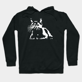 Katze Hoodie